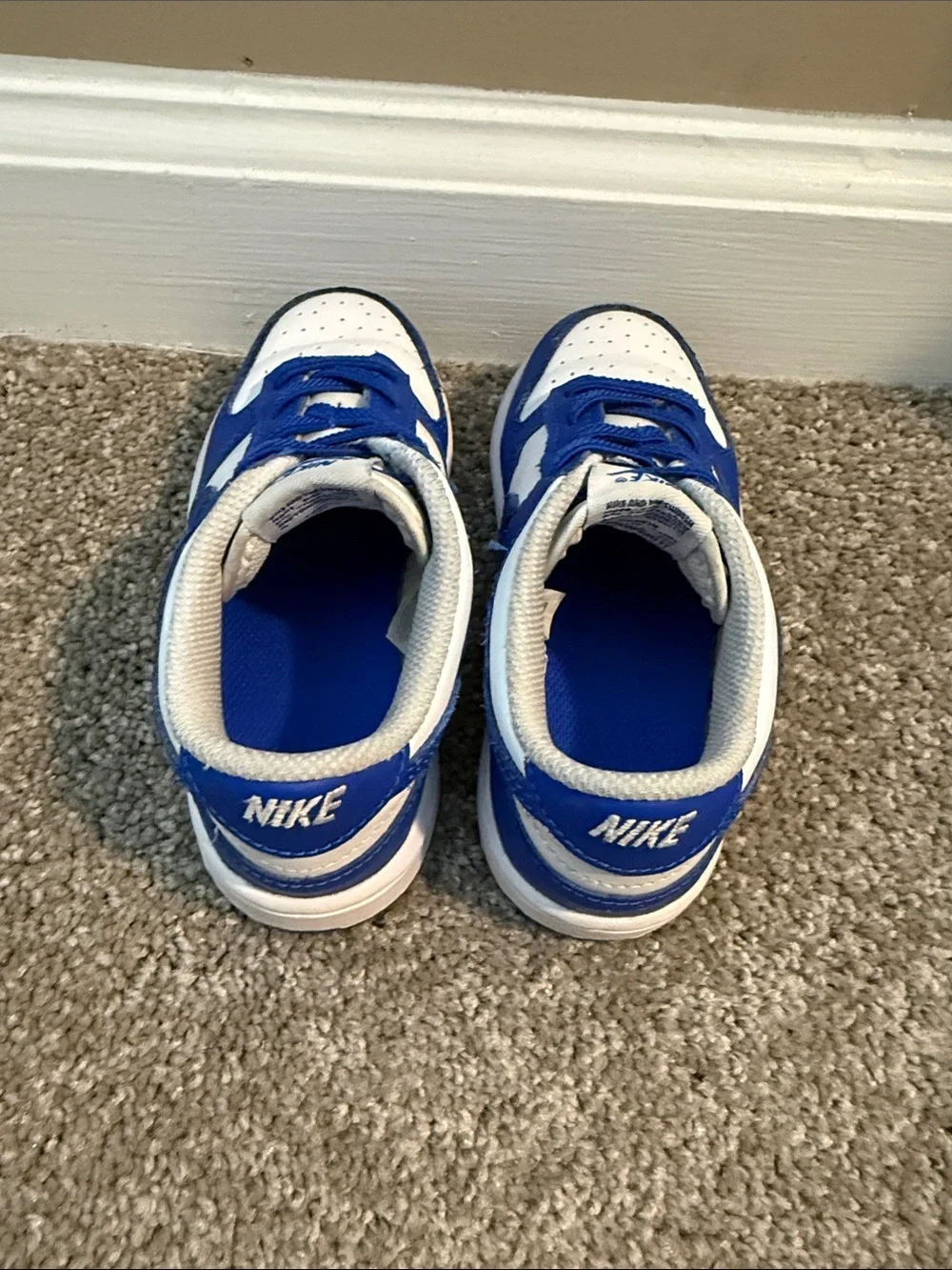Toddler Nike Dunks